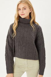 Cable Knit Short Turtleneck Sweater