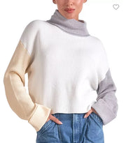 Boxy Colorblock Turtleneck