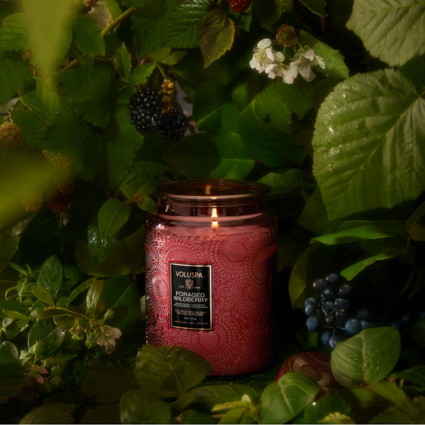 Voluspa Foraged Wildberry Collection