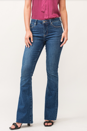 Rosie Northern Lights Mid Rise Flare Jeans