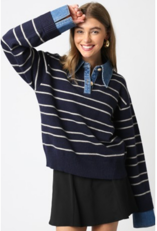 Ainslow Striped Denim Trim Sweater